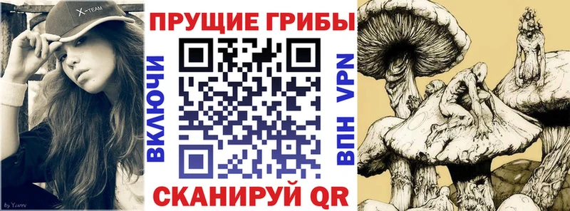 Галлюциногенные грибы Magic Shrooms  Городище 